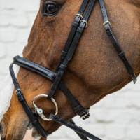 Bridon Muserolle Moyenne Combinée Cuir Souple Dy'on Noir Bridon Muserolle Moyenne Combinée Cuir Souple Dy'on Noir