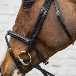 Bridon Muserolle Moyenne Combinée Cuir Souple Dy'on Noir Bridon Muserolle Moyenne Combinée Cuir Souple Dy'on Noir