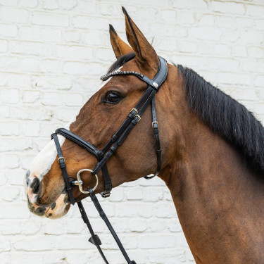 Bridon Muserolle Moyenne Combinée Cuir Souple Dy'on Noir Bridon Muserolle Moyenne Combinée Cuir Souple Dy'on Noir