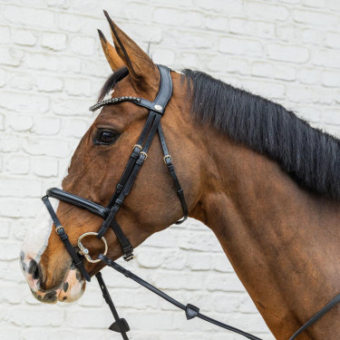 Bridon Muserolle Moyenne Combinée Cuir Souple Dy'on Noir Bridon Muserolle Moyenne Combinée Cuir Souple Dy'on Noir