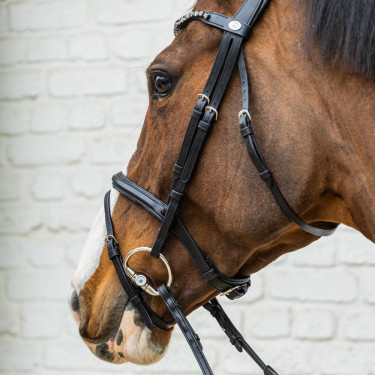 Bridon Muserolle Moyenne Combinée Cuir Souple Dy'on Noir Bridon Muserolle Moyenne Combinée Cuir Souple Dy'on Noir