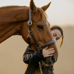 Licol Cuir D Collection by Dy'on