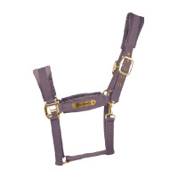 Licol Velvet Kentucky Violet