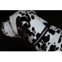 Collier pour chien Equestrian Stockholm strass Noir édition