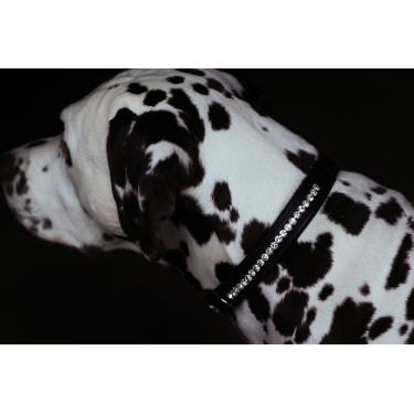 Collier pour chien Equestrian Stockholm strass Noir édition