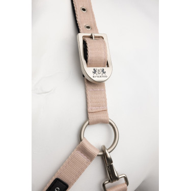 Licol Hardwick B Vertigo