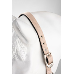 Licol Hardwick B Vertigo