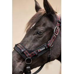 Licol Cairo Infra-Rouge Horze Gris anthracité foncé Licol Cairo Infra-Rouge Horze Gris anthracité foncé