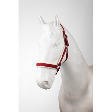 Licol de Noël Horze