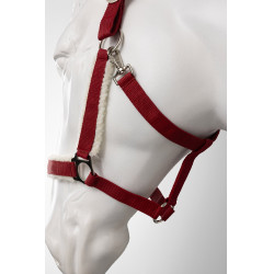 Licol de Noël Horze