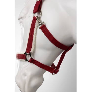 Licol de Noël Horze