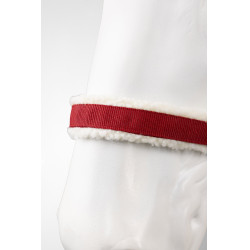 Licol de Noël Horze