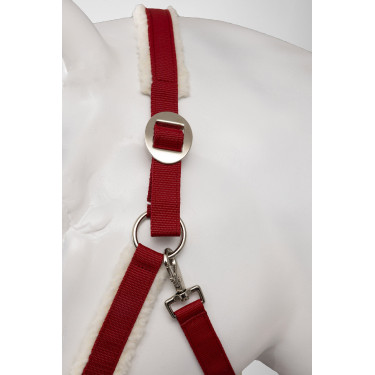 Licol de Noël Horze