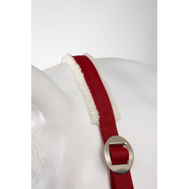 Licol de Noël Horze