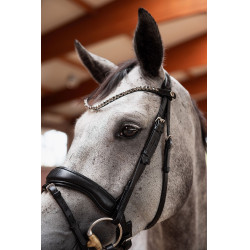 Têtière slim Horze Delémont Noir caviar