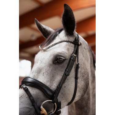 Têtière slim Horze Delémont Noir caviar