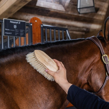 Brosse classique en bois longue douce Grooming Deluxe Brosse classique en bois longue douce Grooming Deluxe