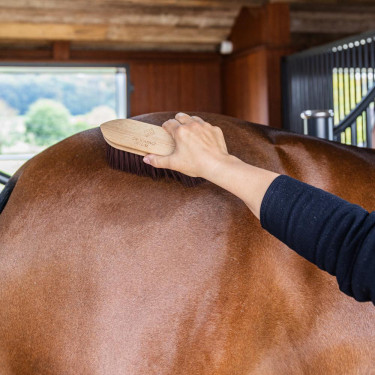 Brosse dure Wooden classic medium Grooming Deluxe Marron