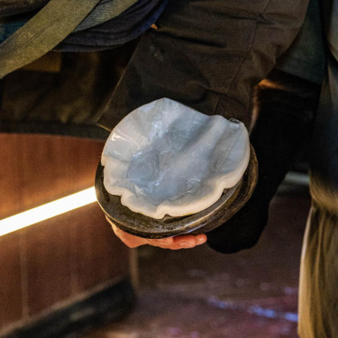 EquiTex Hoof Grooming Deluxe