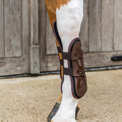 Guêtres antérieures avec protection du carpe élastique Kentucky Marron