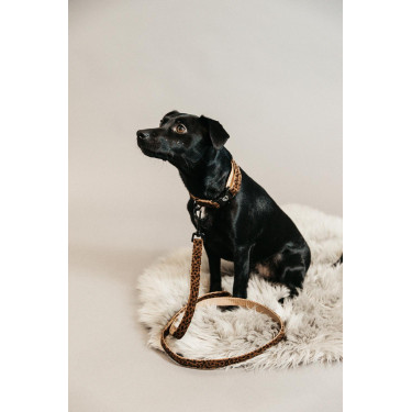 Laisse pour chien Léopard Kentucky Marron léopard