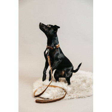 Laisse pour chien Léopard Kentucky Marron léopard