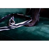 Laisse pour chien Zebra Kentucky Zebra Motifs