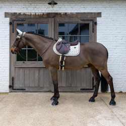 Tapis de Selle Velvet Horse Printing Jumping Kentucky