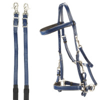 Bridon Daslö d'endurance en PVC