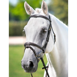 Bridon têtière Tattini frontal licol brodés