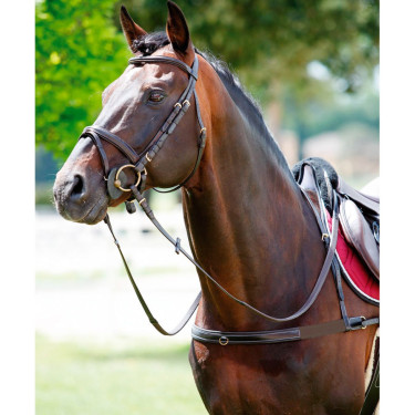 Collier de chasse Tattini élastique col amovible Collier de chasse Tattini élastique col amovible