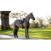 Tapis de Hunter LeMieux Merino+ Marron / marron Tapis de Hunter LeMieux Merino+ Marron / marron