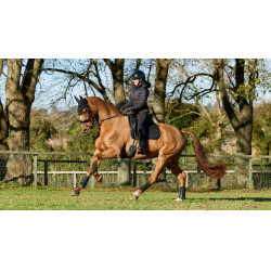 Tapis LeMieux ProSport Dressage SQ Plain Standard Strap Tapis LeMieux ProSport Dressage SQ Plain Standard Strap