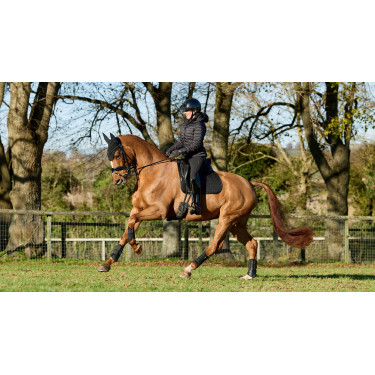 Tapis LeMieux ProSport Dressage SQ Plain Standard Strap Tapis LeMieux ProSport Dressage SQ Plain Standard Strap