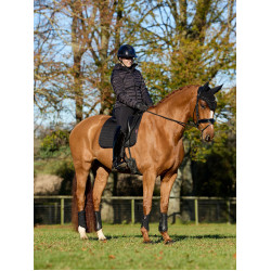 Tapis LeMieux ProSport Dressage SQ Plain Standard Strap Tapis LeMieux ProSport Dressage SQ Plain Standard Strap