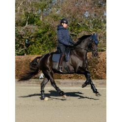 Tapis LeMieux ProSport Dressage SQ Plain Standard Strap Marine Bleu marine Tapis LeMieux ProSport Dressage SQ Plain Standard Strap Marine Bleu marine