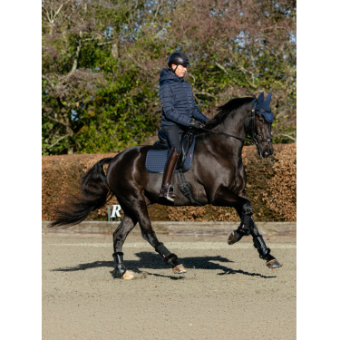 Tapis LeMieux ProSport Dressage SQ Plain Standard Strap Marine Bleu marine Tapis LeMieux ProSport Dressage SQ Plain Standard Strap Marine Bleu marine
