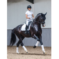 Tapis LeMieux ProSport Dressage SQ Plain Standard Strap Blanc ancien modèle