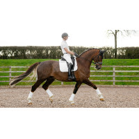 Tapis LeMieux Reflective Suede Dressage Square Blanc