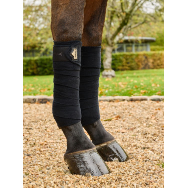 Bandes de polo LeMieux Elevate Noir