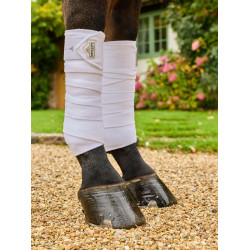 Bandes de polo LeMieux Elevate Blanc
