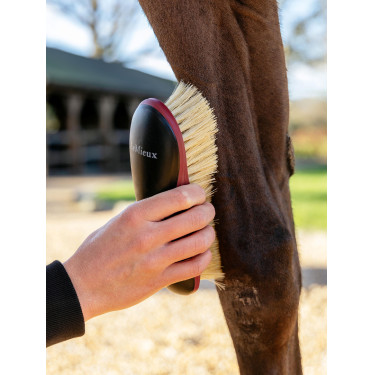 Brosse dure LeMieux Noir