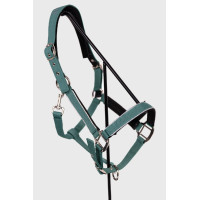 Licol Harcour Bamara Paon Bleu Licol Harcour Bamara Paon Bleu