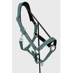 Licol Harcour Bamara Paon Bleu