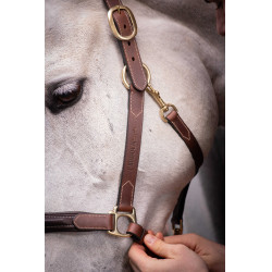Licol cuir 3 mousquetons Paddock Sports Havane Marron