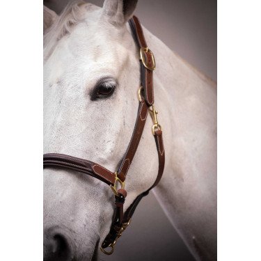 Licol cuir 3 mousquetons Paddock Sports Havane Marron