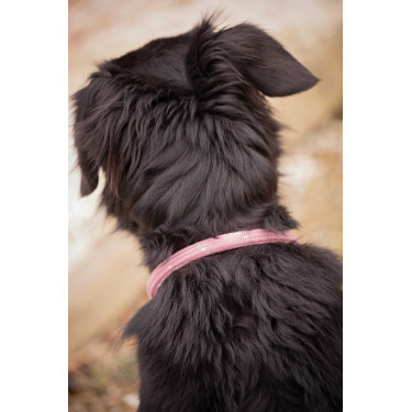 Collier pour chien Penelope Billie Rose / lurex Collier pour chien Penelope Billie Rose / lurex