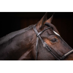 Bridon Pénélope Symphonie Noir