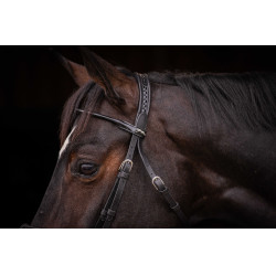 Bridon Pénélope Symphonie Noir