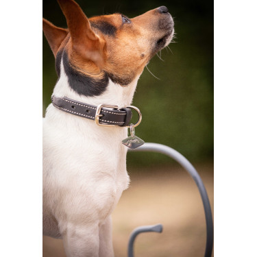 Collier pour chien Pénélope Olie Havane Marron